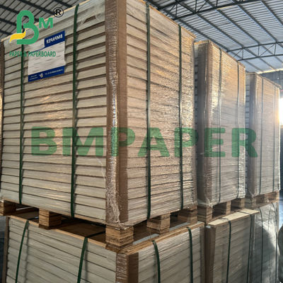 280g 青いコア 防湿 学習用カード 787mm