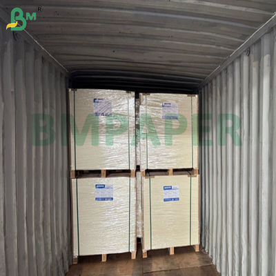 240gsm +15PE マットカップストック紙 ポップコーンバケット製造用 61 X 86cm