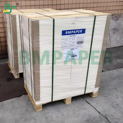 100lb 270gm 白色 塗布なし スムーズ ブリストルボード 22"x30"