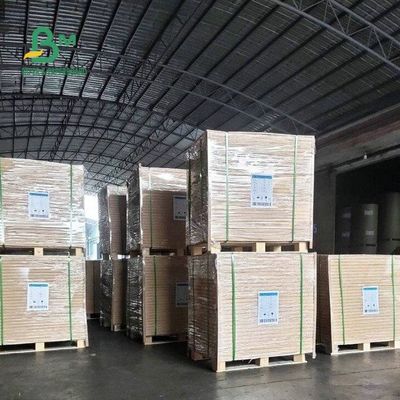 60G 70G 80G 90Gの光沢が無い平野白いウッドフリーはペーパー シート24 * 38&quot;をオフセット印刷を