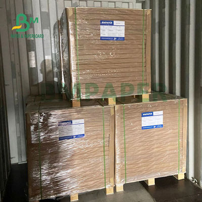 フライヤの印刷25&quot;のための80gsm 100gsm光沢が無く白いウッドフリーのペーパーx 38&quot;