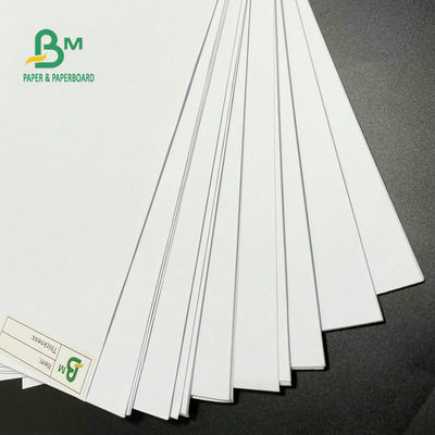 75gsm 90gsm 100gsm 140gsm 160gsm高く白いウッドフリーのとらわれのペーパー