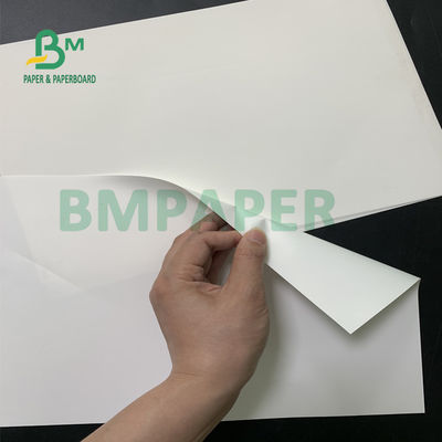 180um PPの総合的なペーパー、屋外広告のための防水破損の校正用紙
