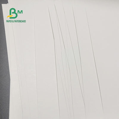 65gsm BPAの金銭登録機の明確なイメージ600mm x 9000mのための自由な感熱紙ロール