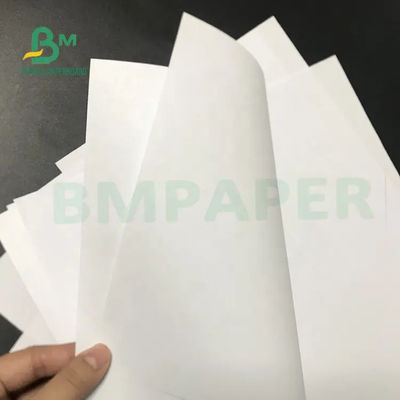 とらわれのペーパーは300gsm光沢が無い平野の白書シートに50gsmを広げる