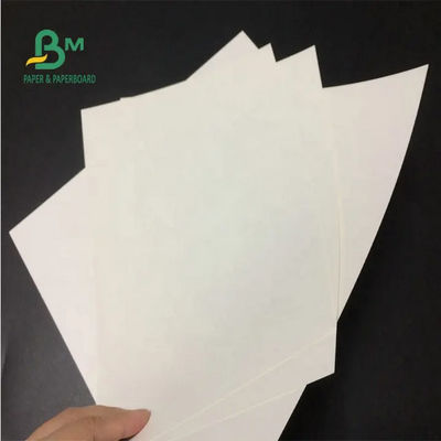 バージン白い24のx 35インチ150gsm 170gsm 190gsmロールを紙袋のためのクラフト紙