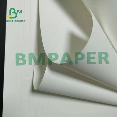 180um地図のための非Tearable PPの総合的なペーパー マットの表面
