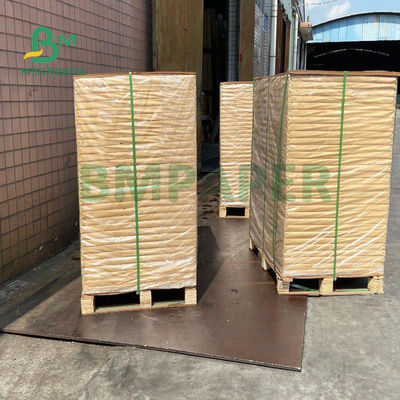 150gsm+20gsm遠征の上塗を施してあるコップの標準的なペーパー耐久財710mm x 900mm