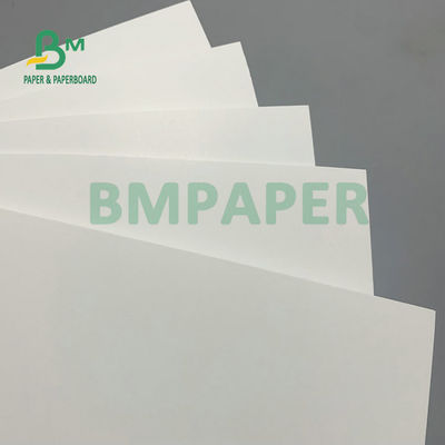 275gm + 15gm PEポリボード 1 サイド PE コーティング フレンズ 冷凍白板 冷凍食品用