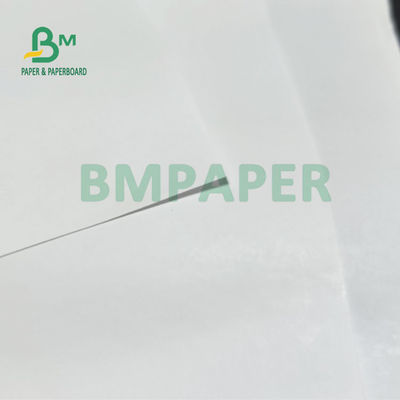55gm 60gm ジャンボロール 熱領収書 ポスATM銀行用 405mm 795mm