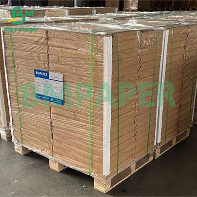80gm 純 70x100cm 紙 白色 テキスト オフセット 紙 学校 教科書