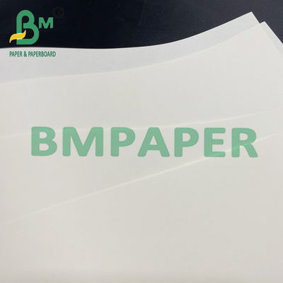 61 x 86cm カラー印刷紙 学校用教科書用