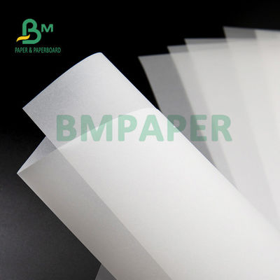 80gm 113gm 透明白色 素描用紙 610mm x 914mm
