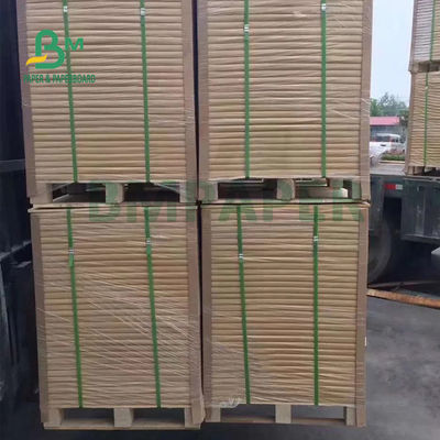 80gm 113gm 透明白色 素描用紙 610mm x 914mm