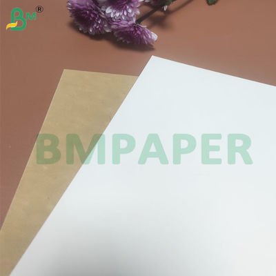 135-350 GSM 高硬度食品容器 紙碗用紙ロール
