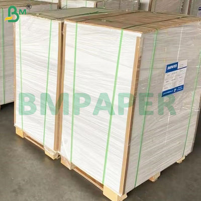 135-350 GSM 高硬度食品容器 紙碗用紙ロール