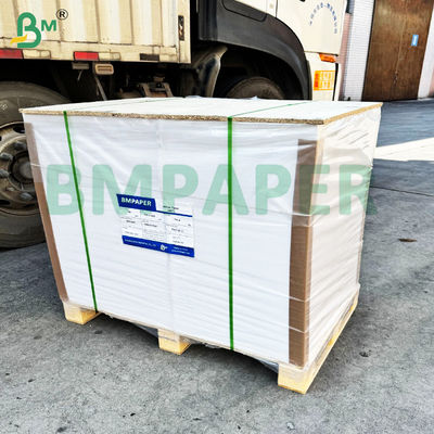 230g 250g ホワイト 水吸収紙 コスターボード用