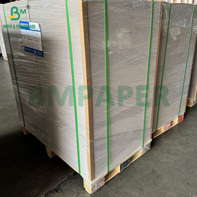 450gm 400gm C1S 灰色の裏 22"x24"シート