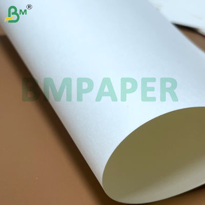 食品用ヌードルボウル紙板 700mm x 1000mm 200g + 20g PEコーティング