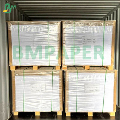 食品用ヌードルボウル紙板 700mm x 1000mm 200g + 20g PEコーティング