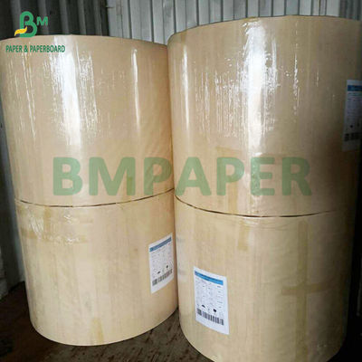 250g 300g 水性プラスチックフリー紙 カップ ボウル 100% バンブー繊維から作られた紙