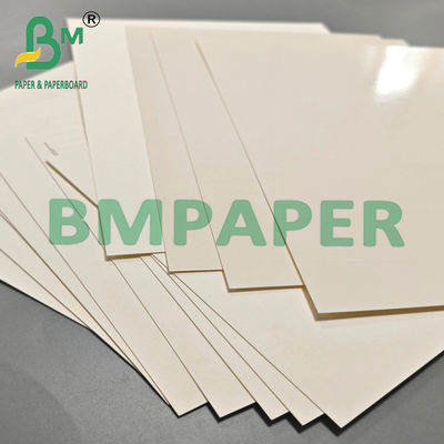 70×100cm レストラン用ペットラミネートクラフト紙 24pt