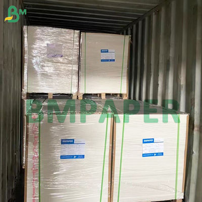 片面塗工耐油紙ボード（裏面白無塗工）275gsm