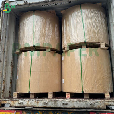 不粘性 耐熱 耐油性 食品包装用紙 45g 14"*14"