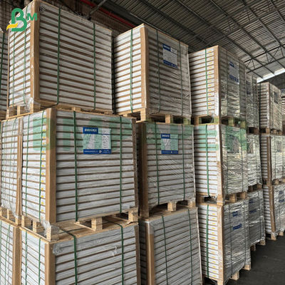 55gsm 60gsm ノンカーボン複写紙 白紙 伸長シート 70x100cm 61x86cm