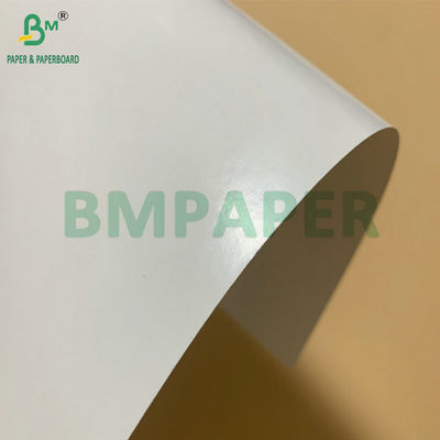 SBS 冷凍用板紙 PE コーティング 325gsm 冷凍エビ包装箱用