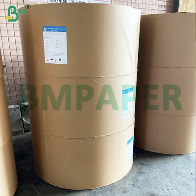 アンチ - 菌糸体 敷き紙 28gm 36gm 白と茶色のガラス