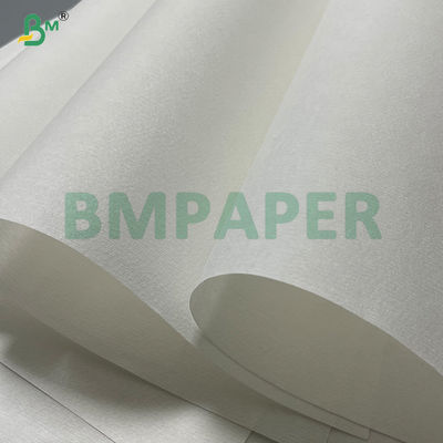 25g Natural White  High Porosity Coffee Filter Paper 600mm In Roll