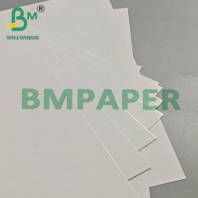 280g 青いコア 防湿 学習用カード 787mm