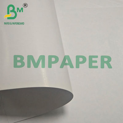 280g 青いコア 防湿 学習用カード 787mm