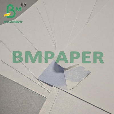 280g 青いコア 防湿 学習用カード 787mm