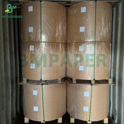 Durable Output 48G 55G 75G Plain Register Paper Roll for POS Receipts