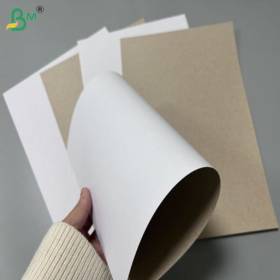 230gram 250gram Anti Mould Coated Duplex Board For Soap Package 700 -900mm