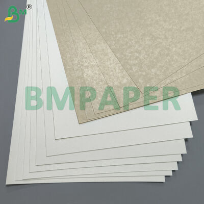 食品級 碗 と 食器 特別 紙 / プレート 紙,PET コーティング