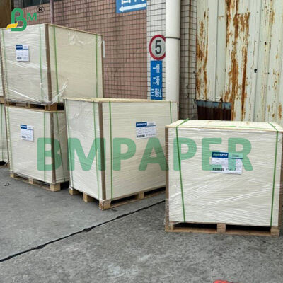 食品級 碗 と 食器 特別 紙 / プレート 紙,PET コーティング