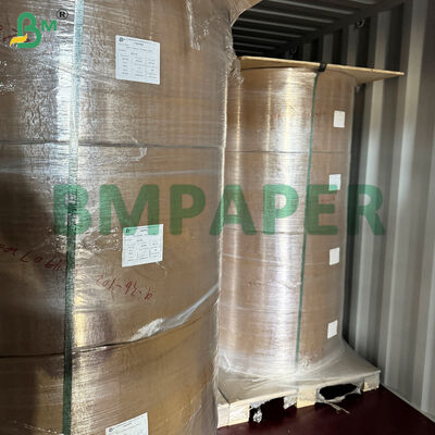 食品級 碗 と 食器 特別 紙 / プレート 紙,PET コーティング