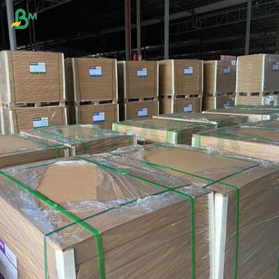 260GSM+ 18GSM FDA 分解可能な竹製クラフト紙 PE/PLA コーティングカップストック紙