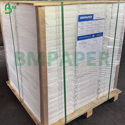 アーティストペインティング用100%コットン荒目水彩紙 300gsm 70cm x 50cm サイズ