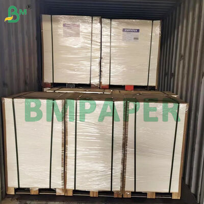 370lb 両面コート紙 12インチ x 18インチ 白