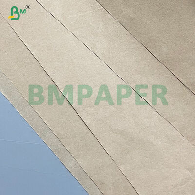 60-120g 湿度耐性 茶色 吸水 クラフト紙 繁殖用