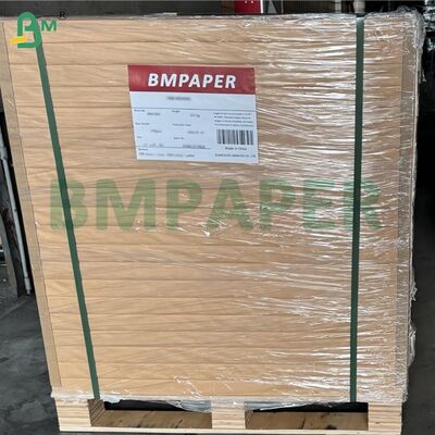 40g 油性食品包装用紙 キット 5/7 白色 白化 24x36 インチ