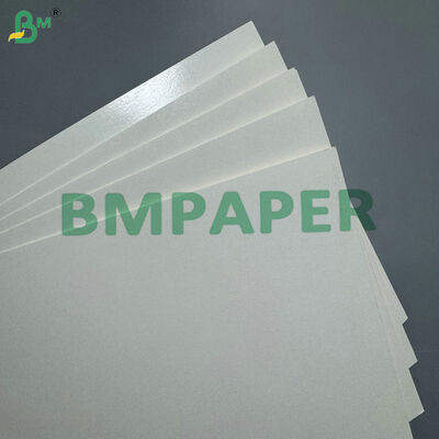Oilproof & Moistureproof Base Material PE Coated 190gsm 210gsm Raw Paper for Disposable Tableware