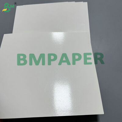 Oilproof & Moistureproof Base Material PE Coated 190gsm 210gsm Raw Paper for Disposable Tableware