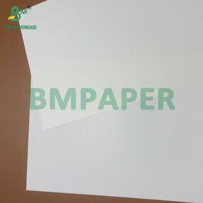 61x90 cm 片面耐油性FBB板紙 230gsm 油脂食品包装用